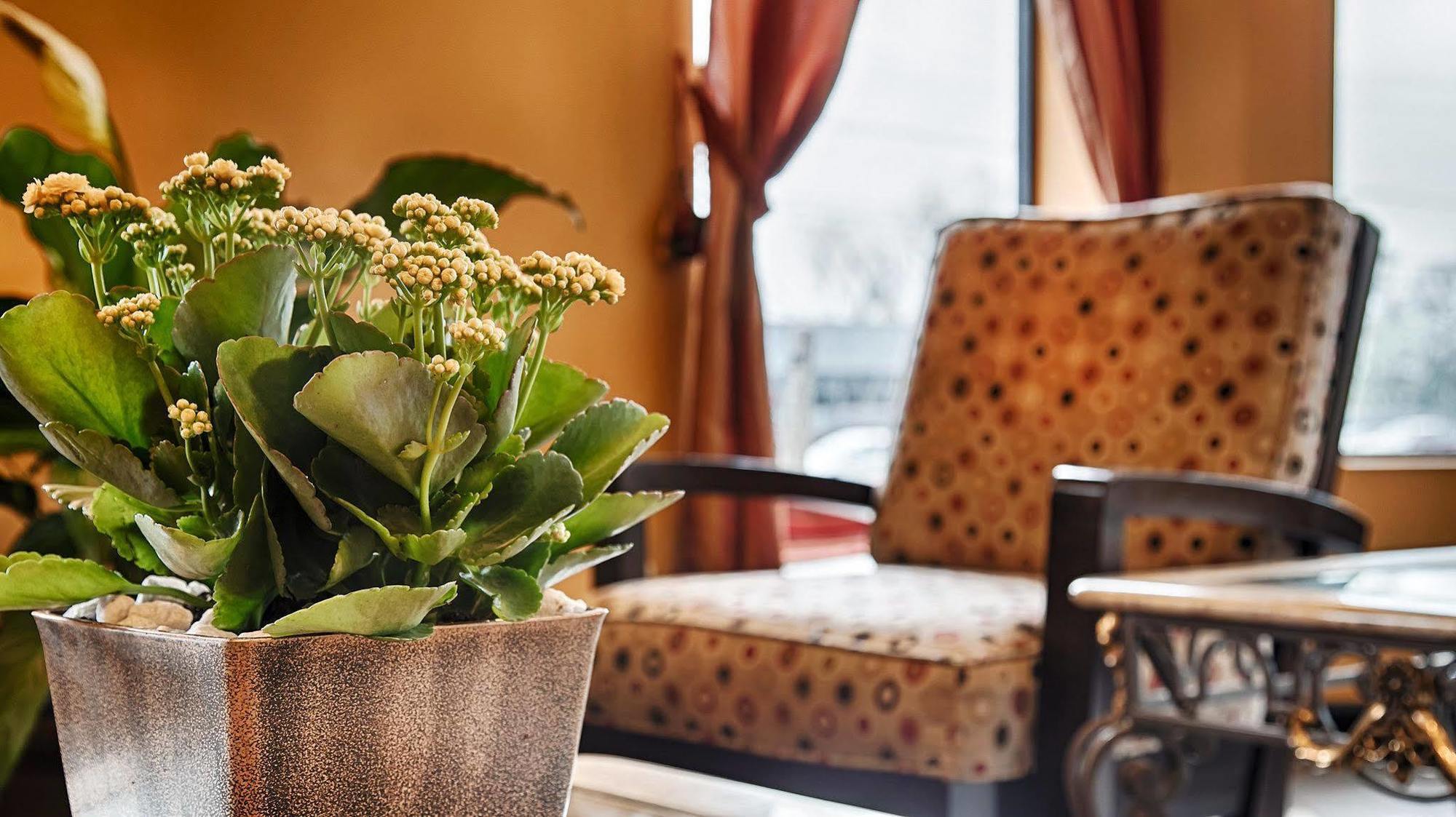 Econo Lodge Inn & Suites Fort Oglethorpe Εσωτερικό φωτογραφία